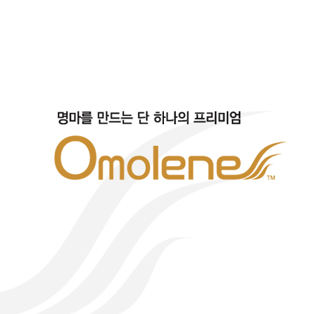 Omolene 아이덴티티 디자인 - 브랜딩 포트폴리오