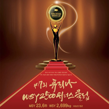 제7회 퓨리나 WSY 2500 위너스클럽 캘리그라피 - 브랜딩 포트폴리오