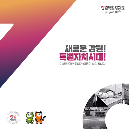 강원특별자치도 출범 홍보 브로슈어 - 인쇄제작물 포트폴리오